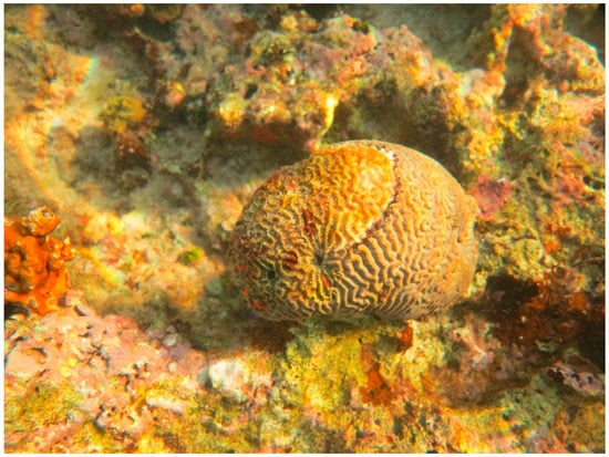 Sustainability 16 01506 g0a33