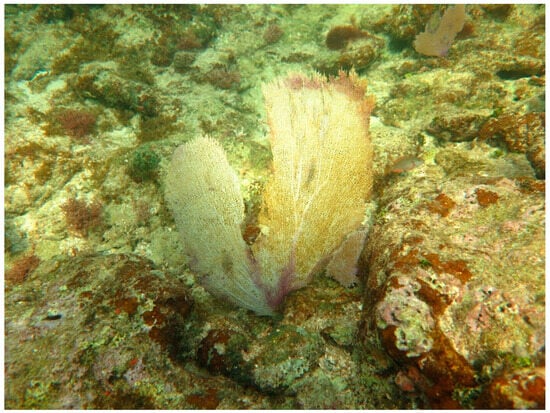 Sustainability 16 01506 g0a34