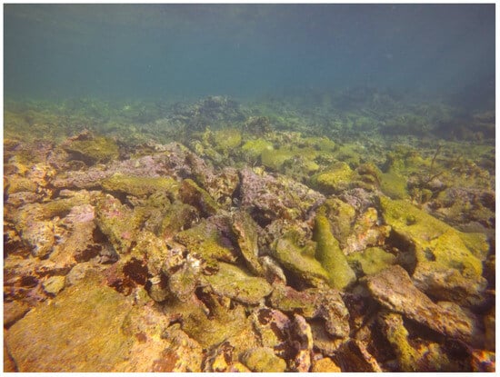 Sustainability 16 01506 g0a36