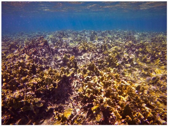 Sustainability 16 01506 g0a4