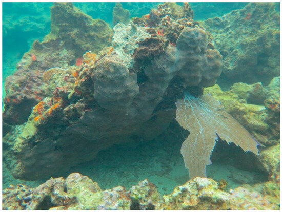 Sustainability 16 01506 g0a40