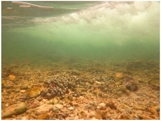 Sustainability 16 01506 g0a41