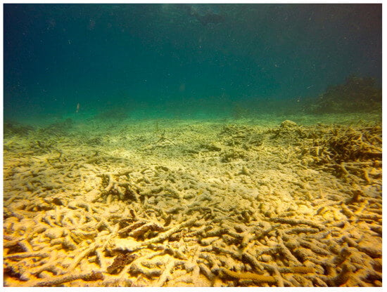 Sustainability 16 01506 g0a5