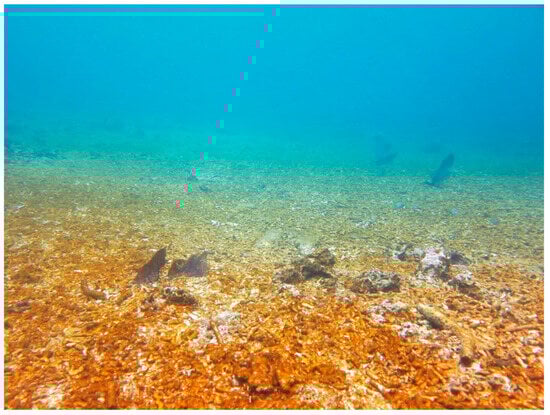 Sustainability 16 01506 g0a7