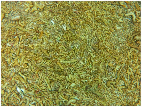 Sustainability 16 01506 g0a8