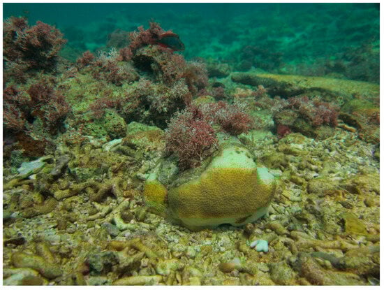 Sustainability 16 01506 g0a9