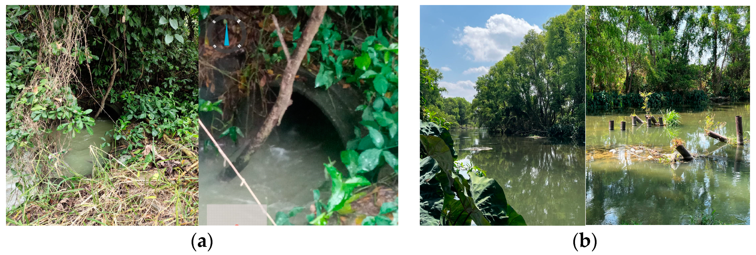 Sustainability 16 01536 g006