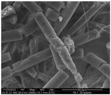 Sustainability 16 01555 i006