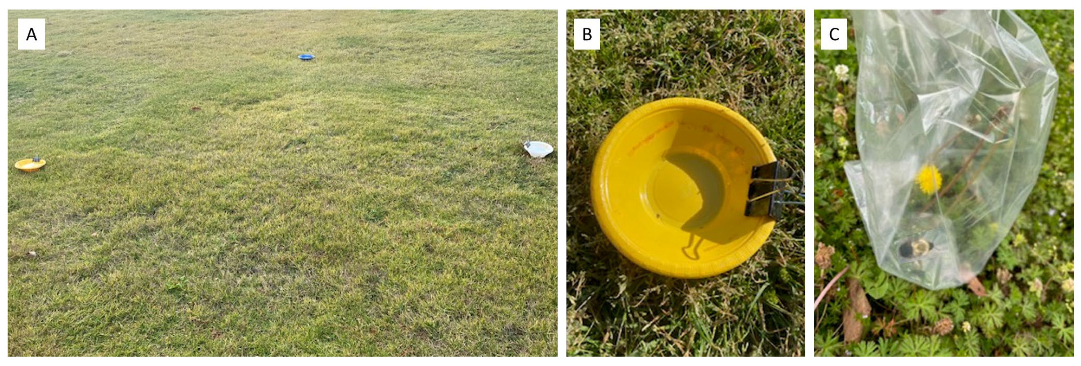 Sustainability 16 01598 g001