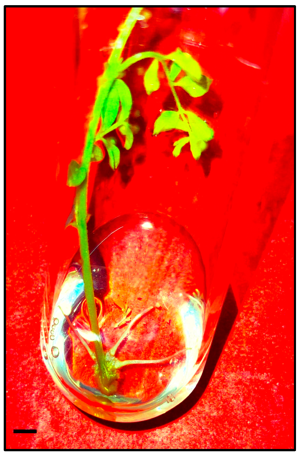 Sustainability 16 01613 g003