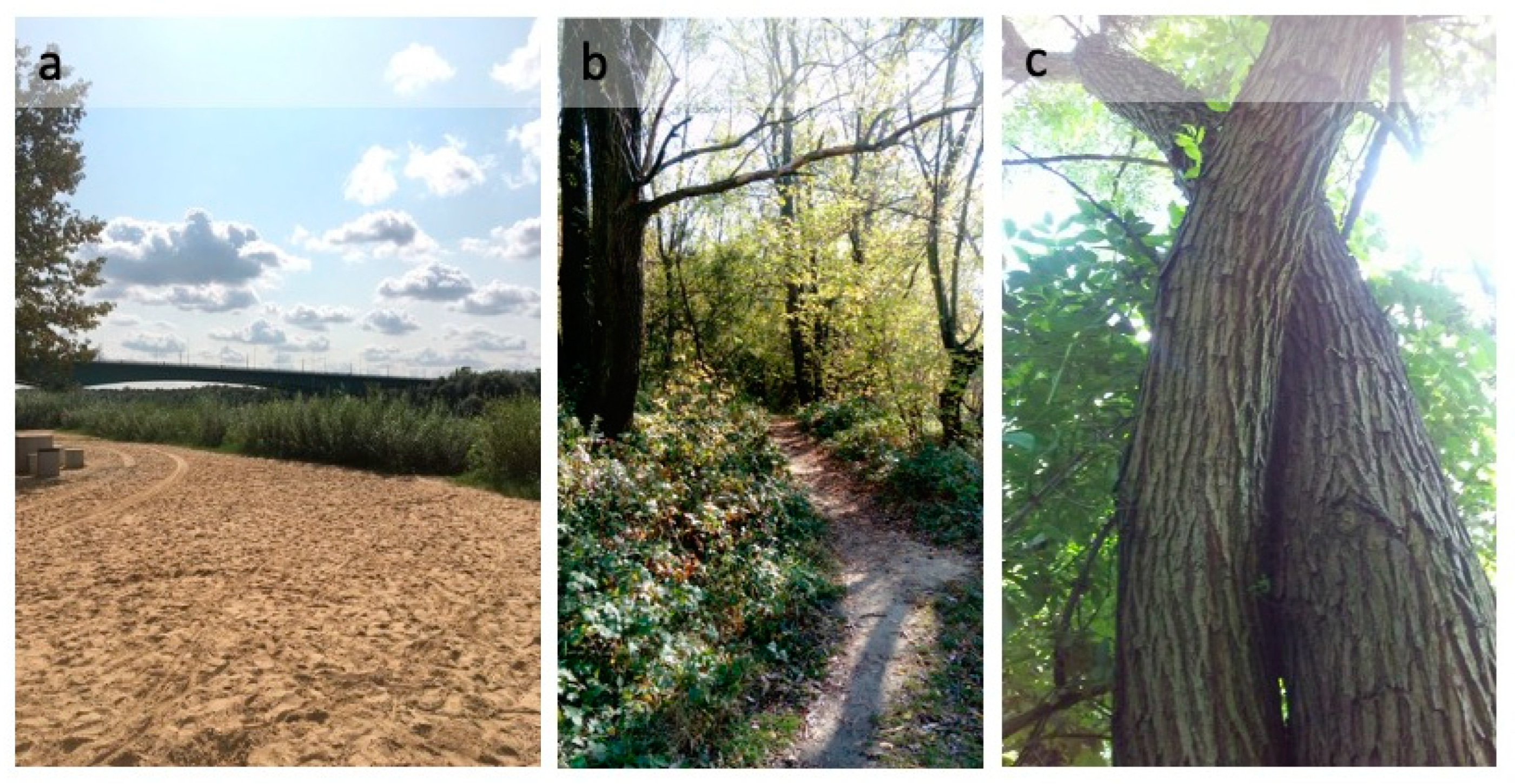 Sustainability 16 01619 g004