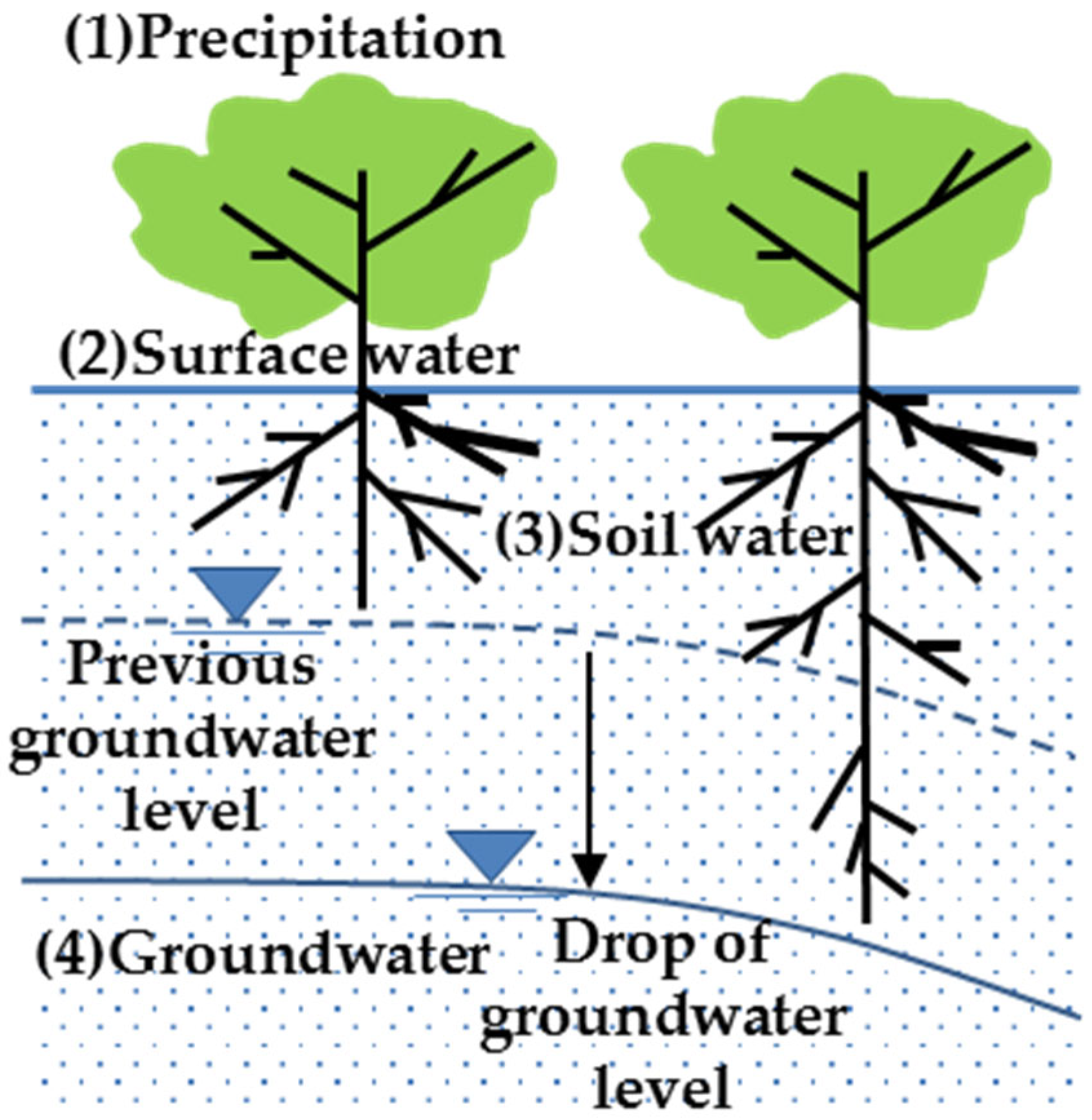Sustainability 16 01631 g002