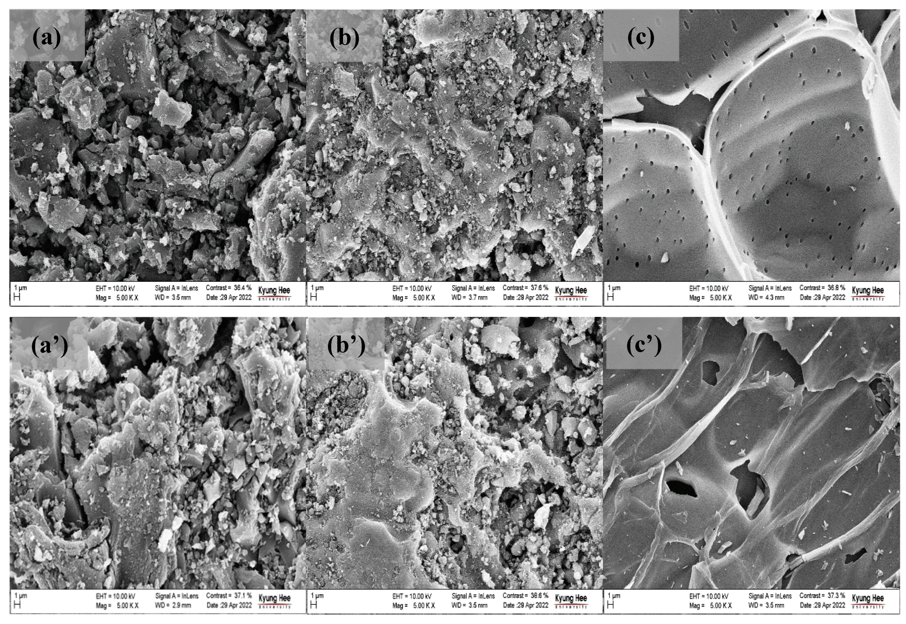 Sustainability 16 01634 g004
