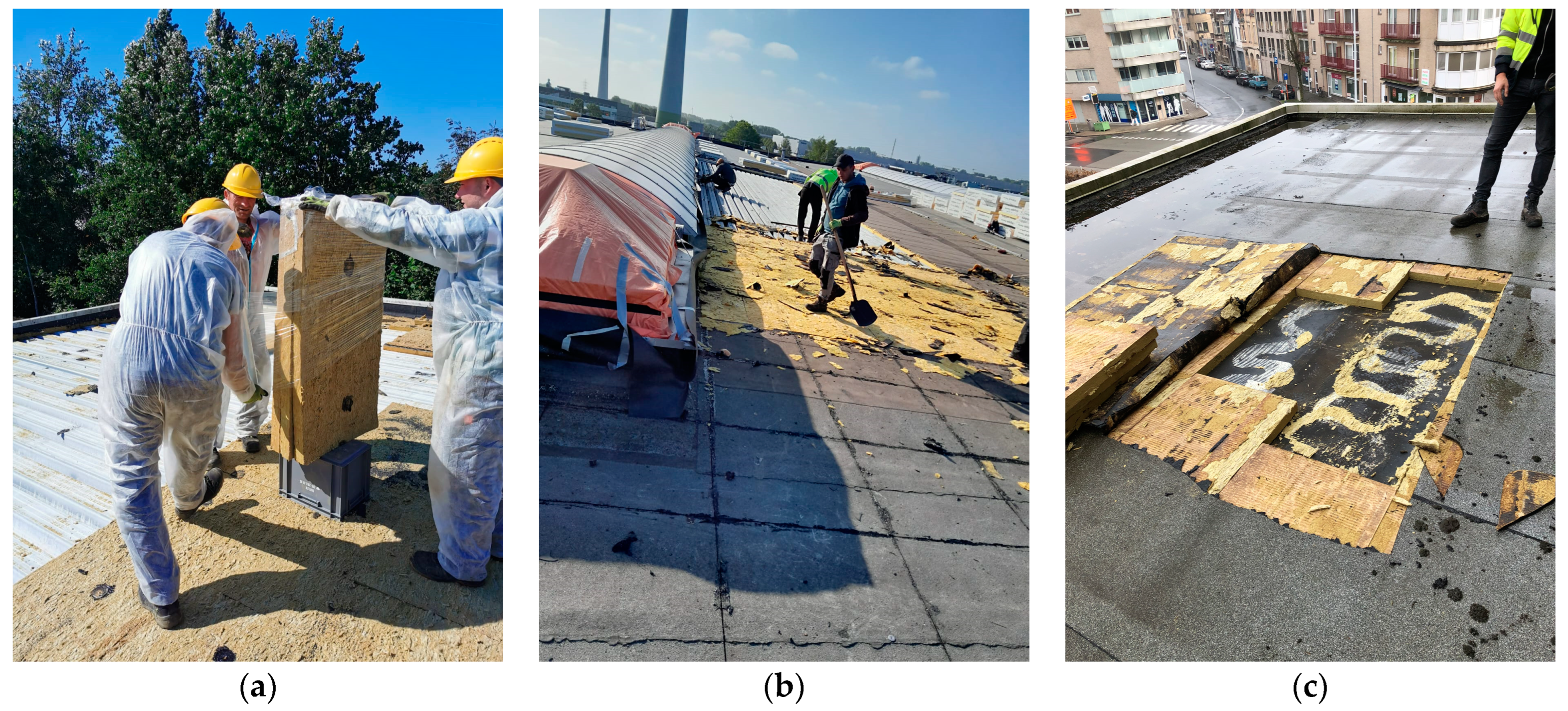 Sustainability 16 01657 g002