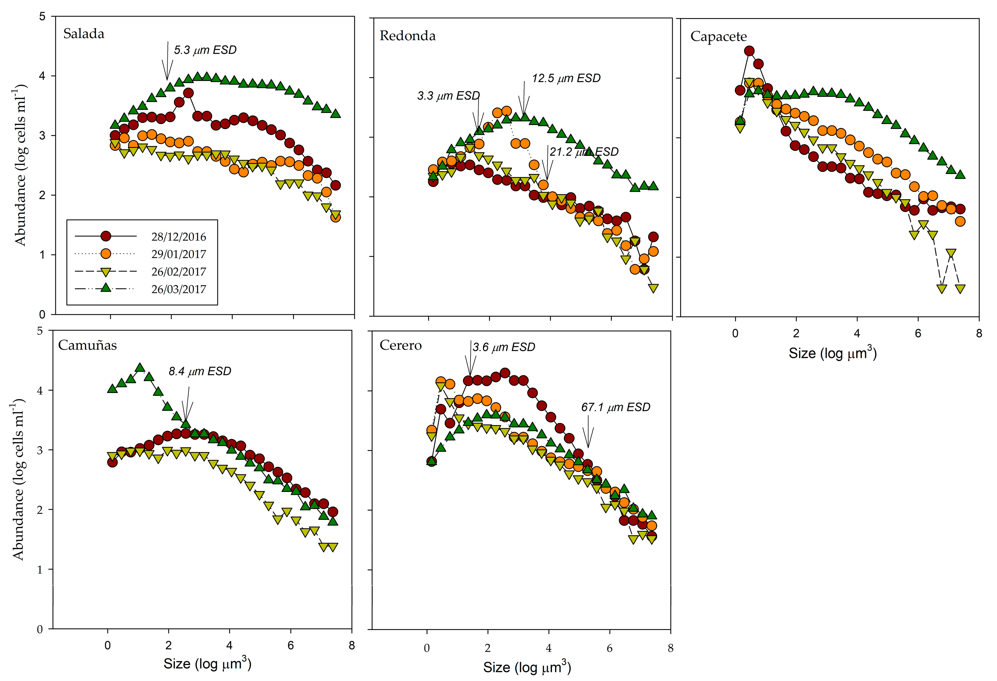 Sustainability 16 01685 g004