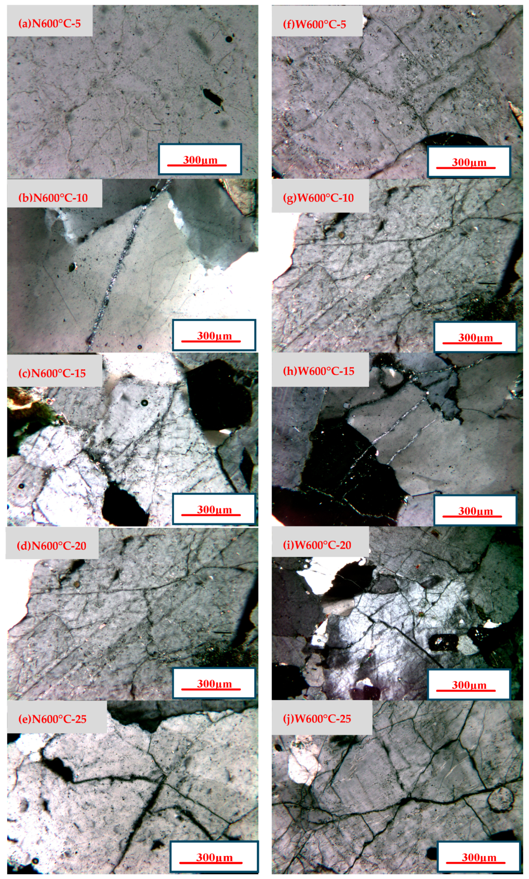 Sustainability 16 01724 g010