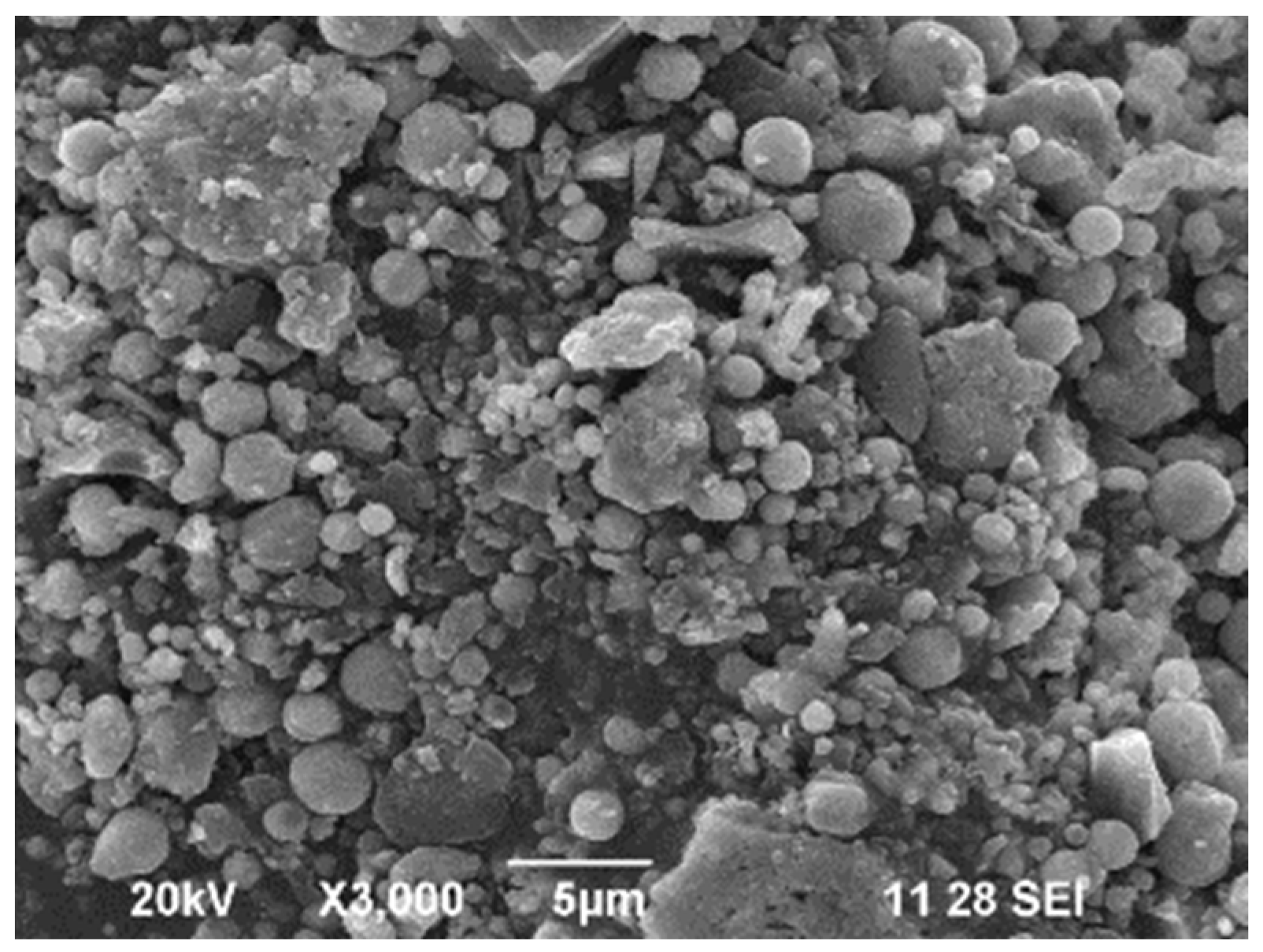 Sustainability 16 01732 g003