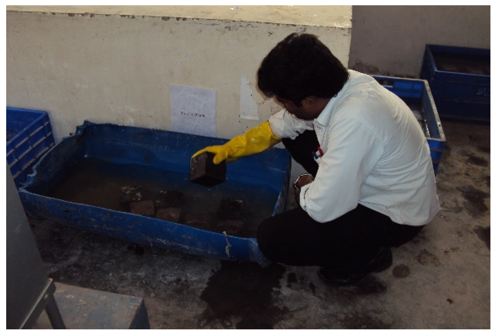 Sustainability 16 01732 g005