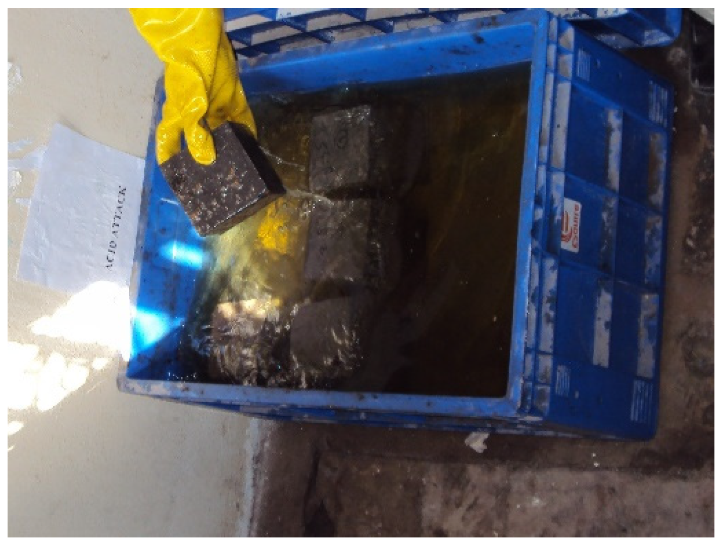 Sustainability 16 01732 g006