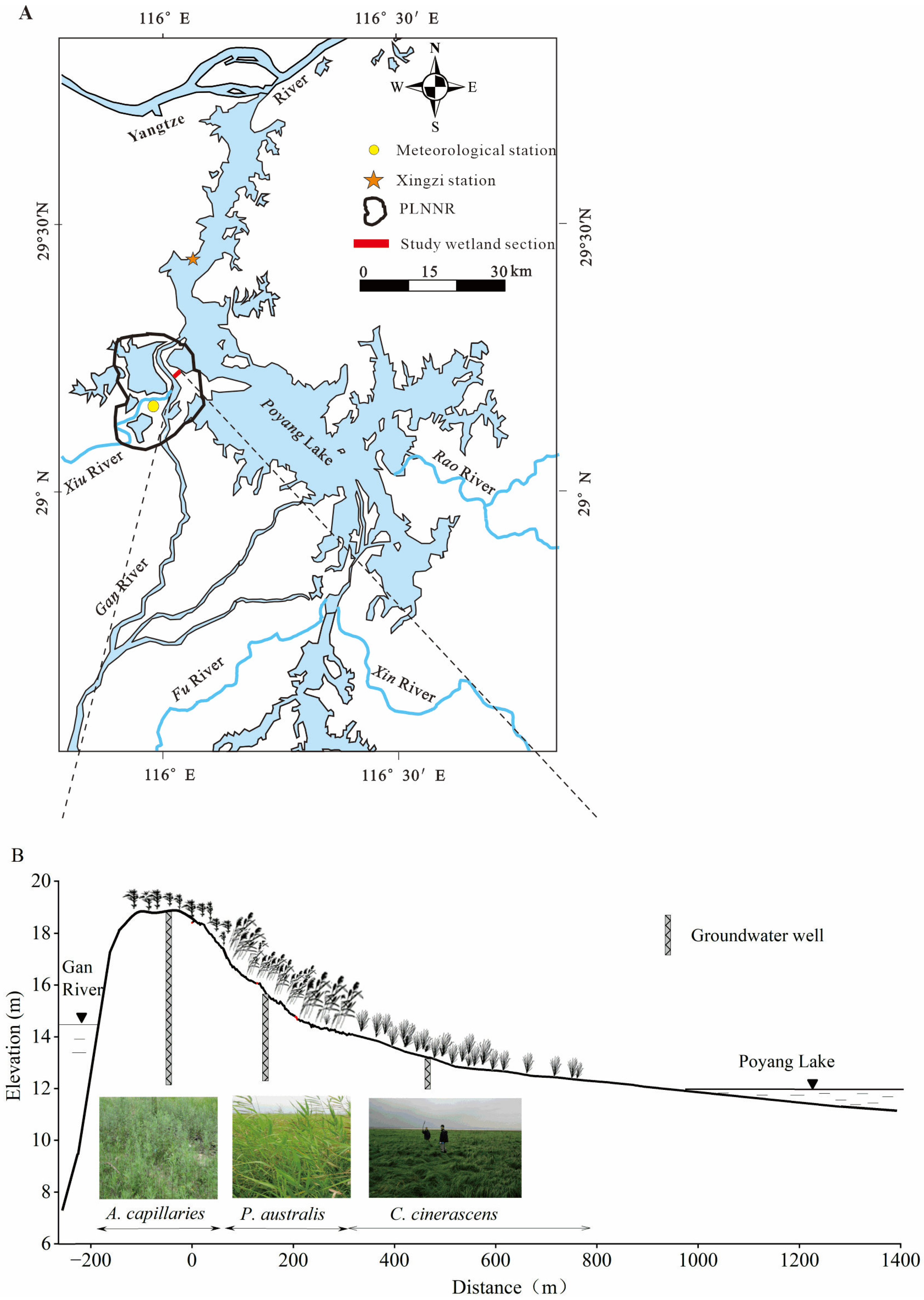 Sustainability 16 01755 g001