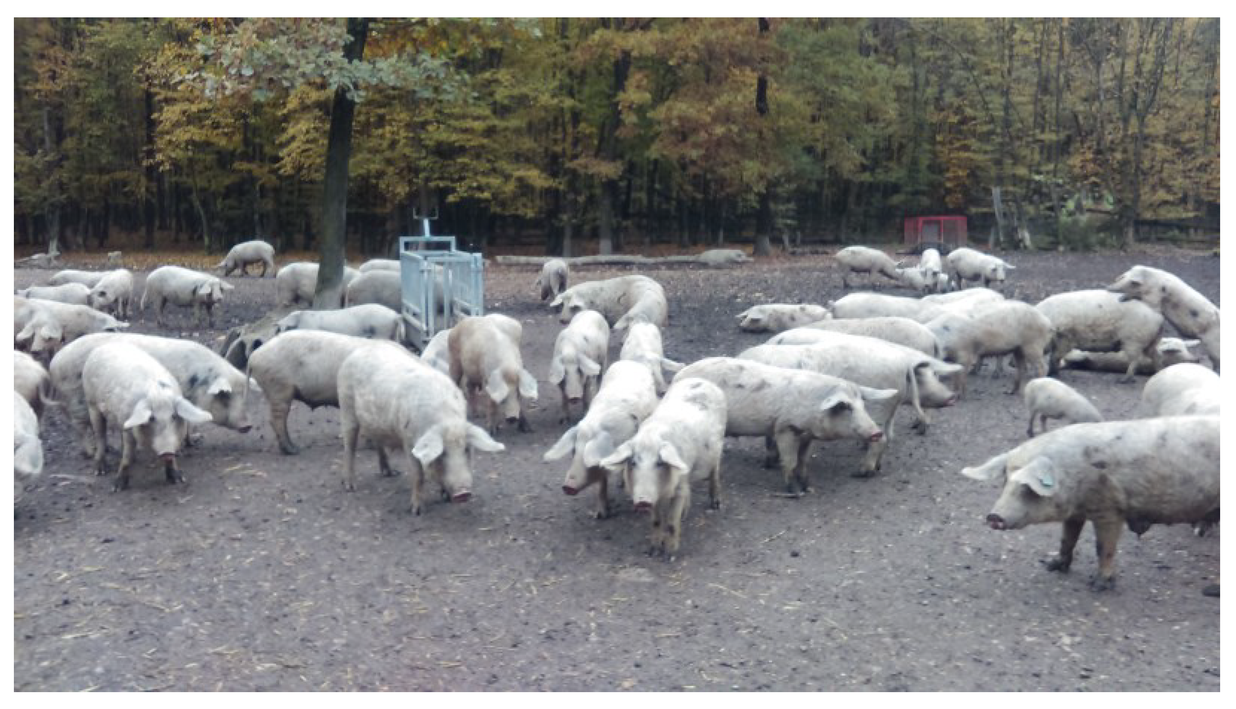 Sustainability 16 01786 g001