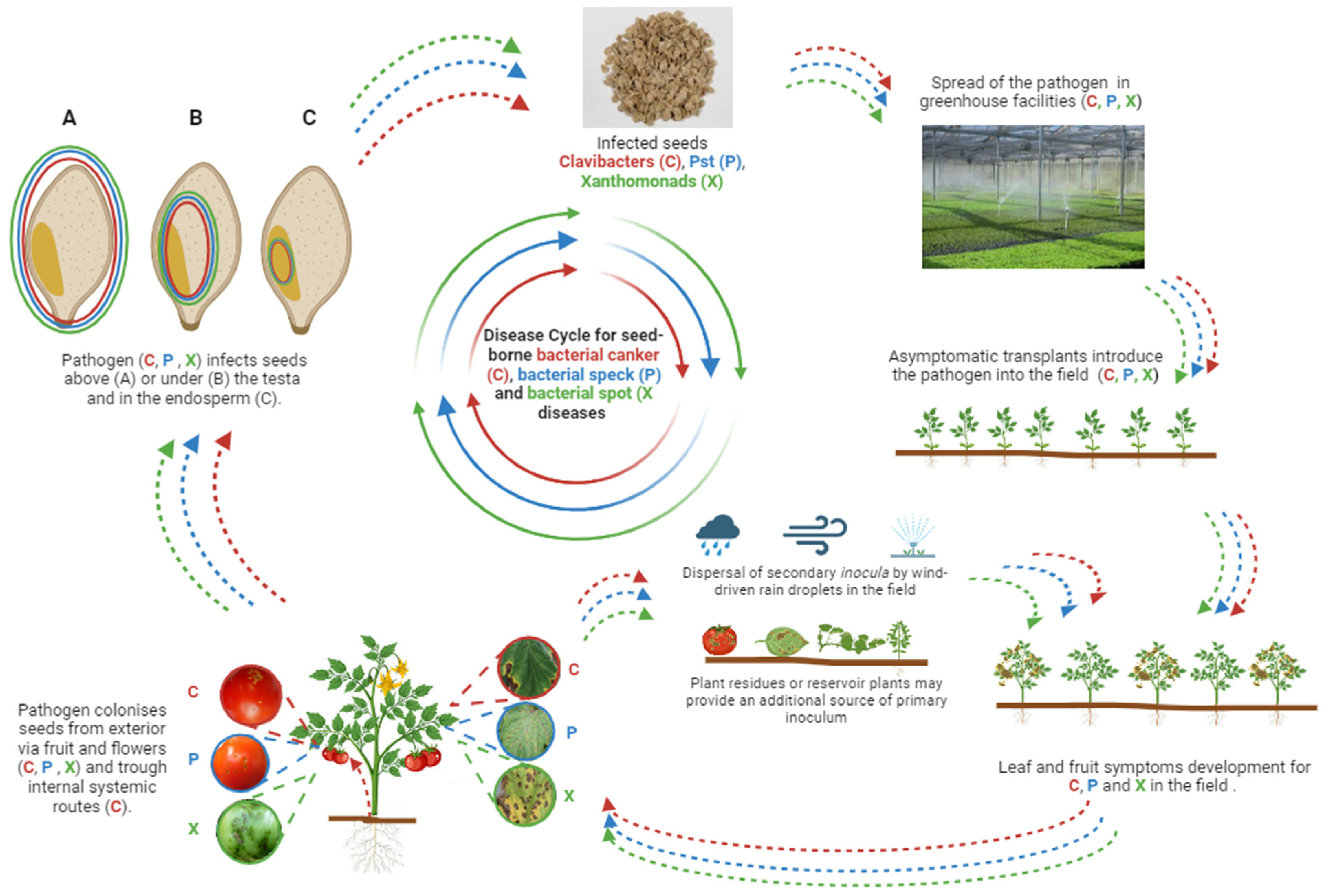 Sustainability 16 01808 g002 Sustainability 16 01808 g002