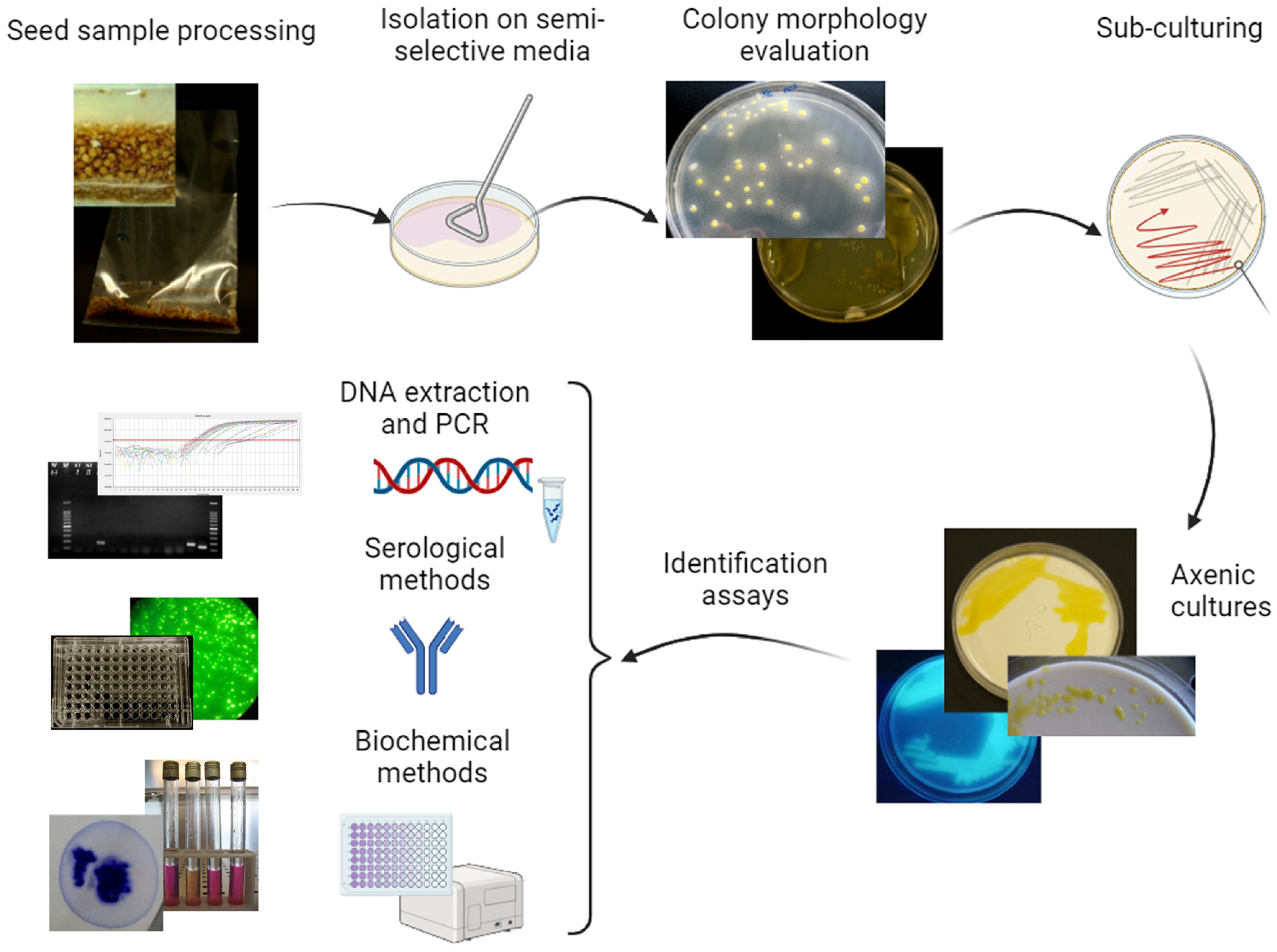 Sustainability 16 01808 g003 Sustainability 16 01808 g003