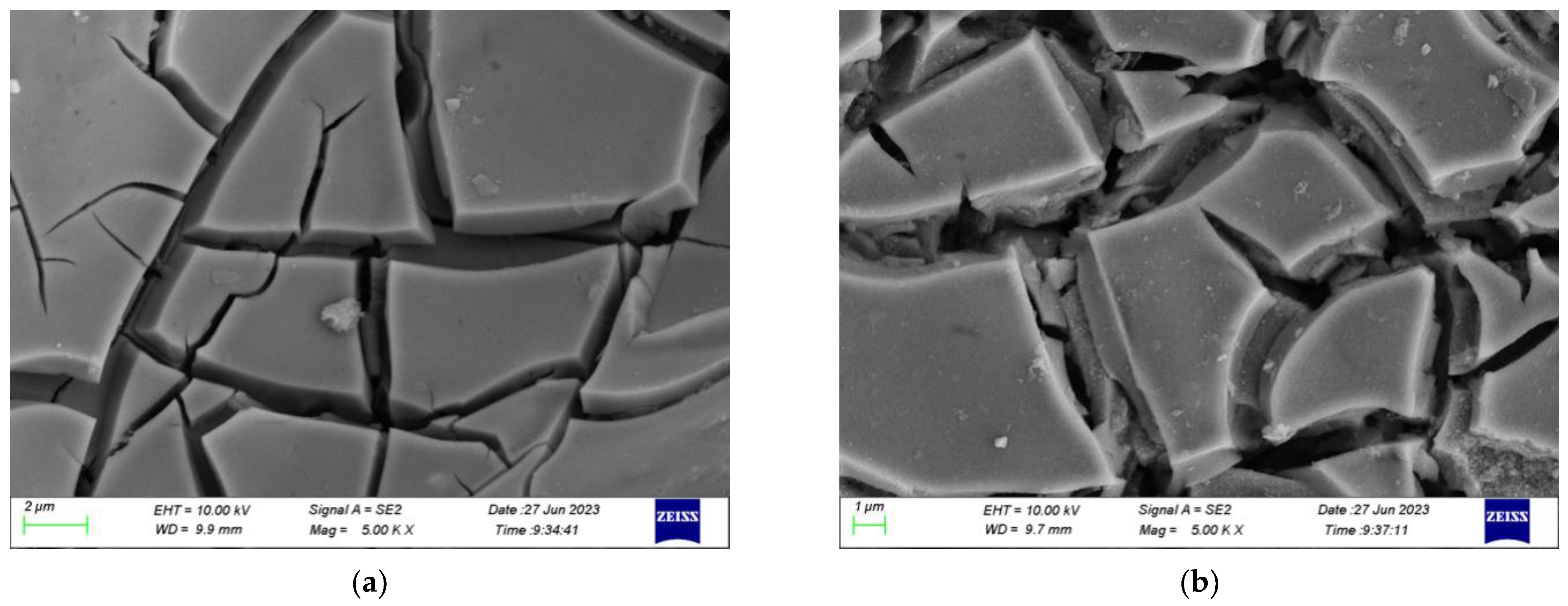 Sustainability 16 01838 g005