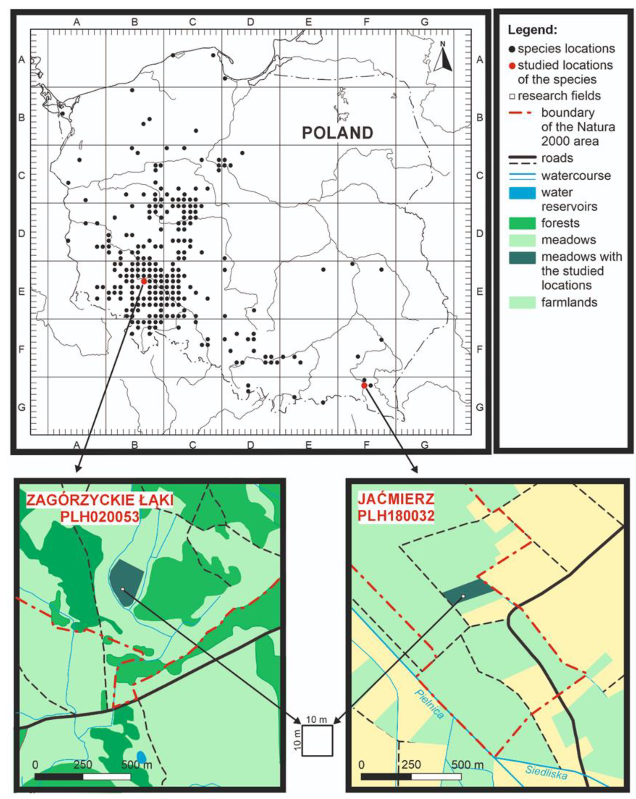 Sustainability 16 01844 g001