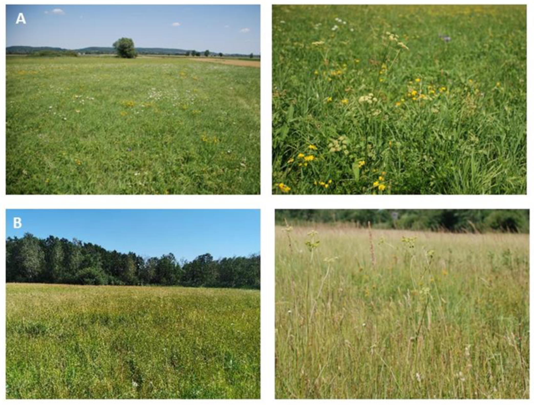 Sustainability 16 01844 g002