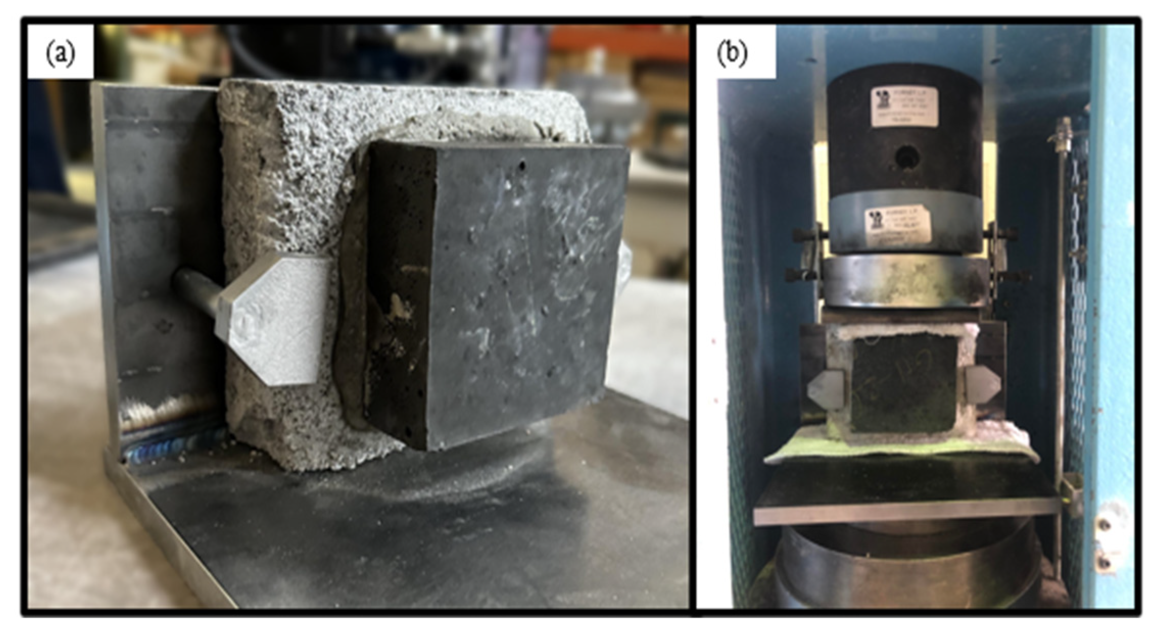 Sustainability 16 01854 g010