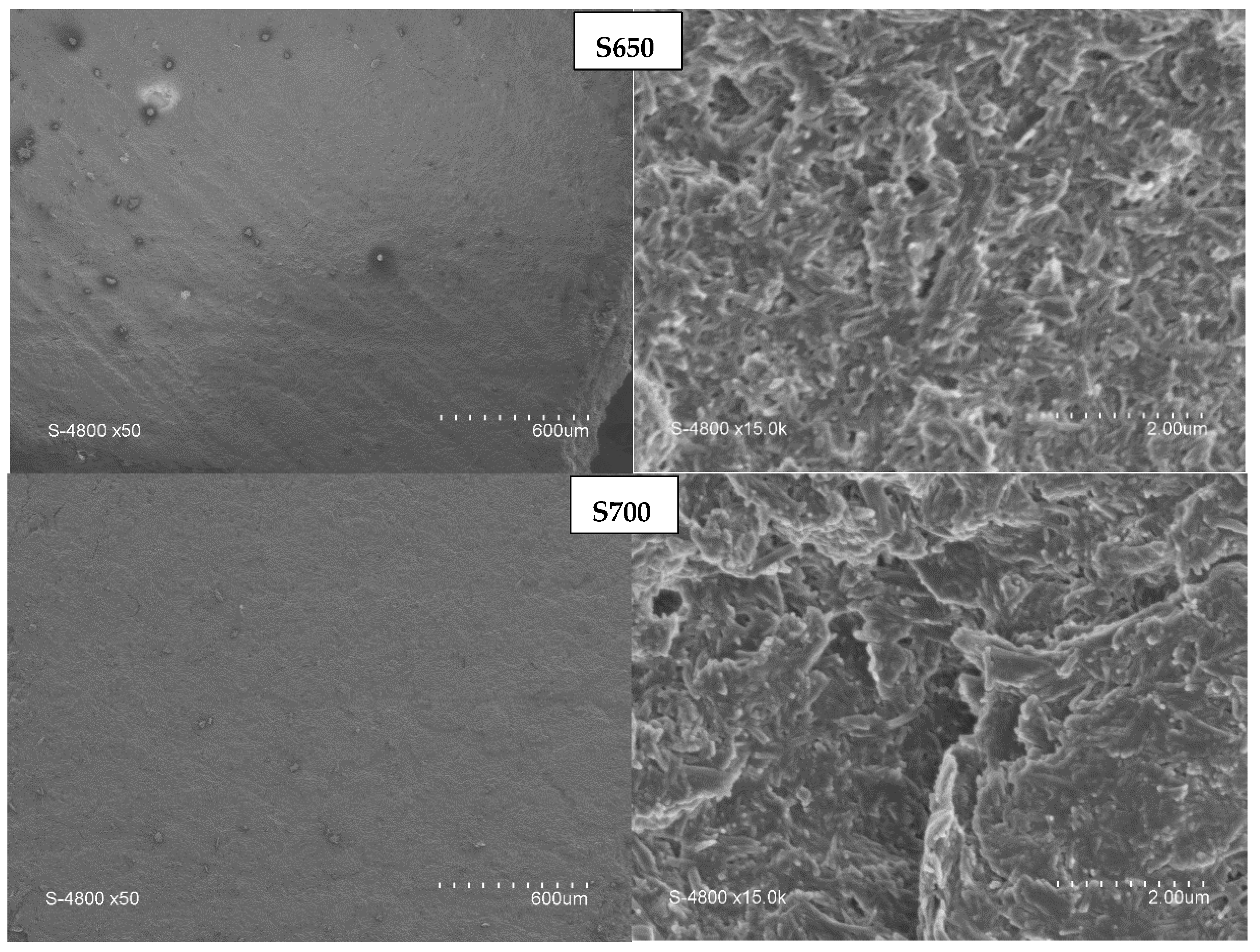 Sustainability 16 01860 g008a
