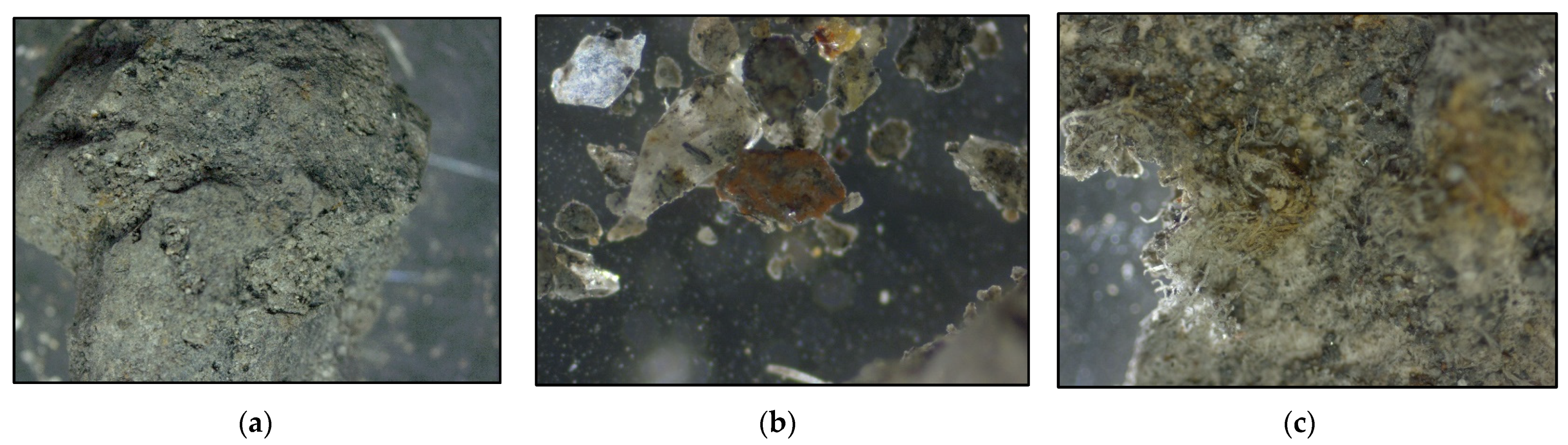 Sustainability 16 01865 g002