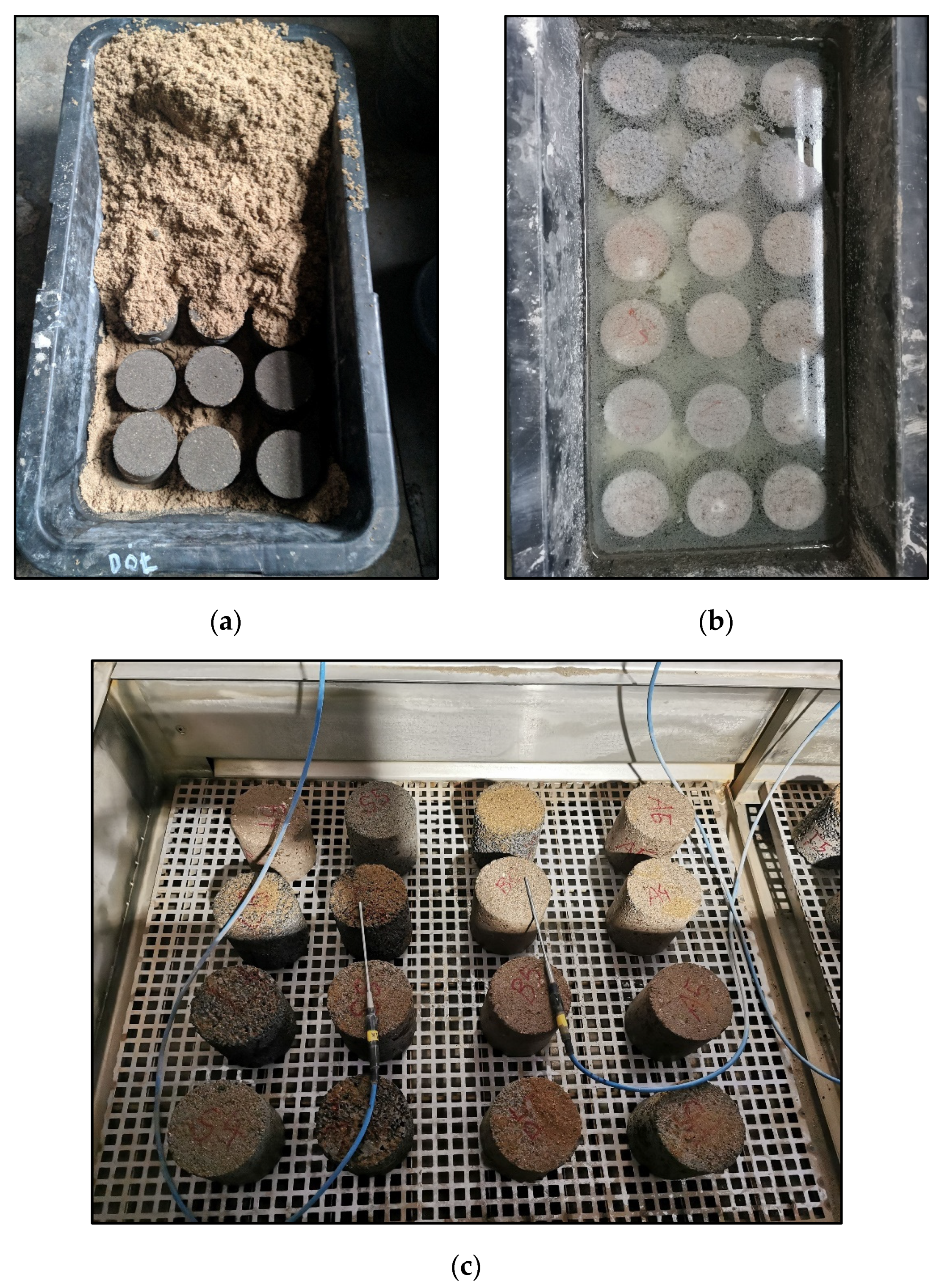 Sustainability 16 01865 g003