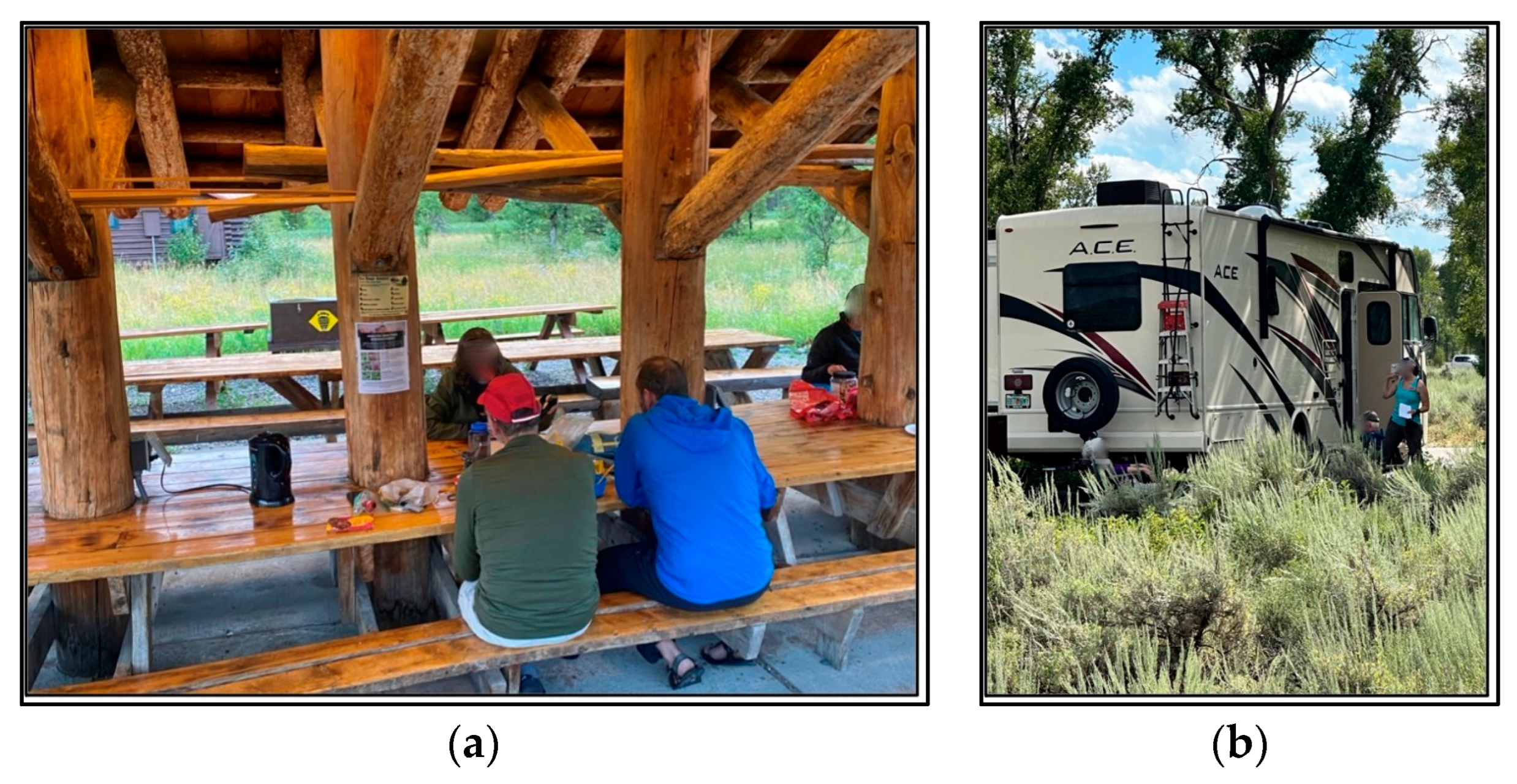 Sustainability 16 01871 g001