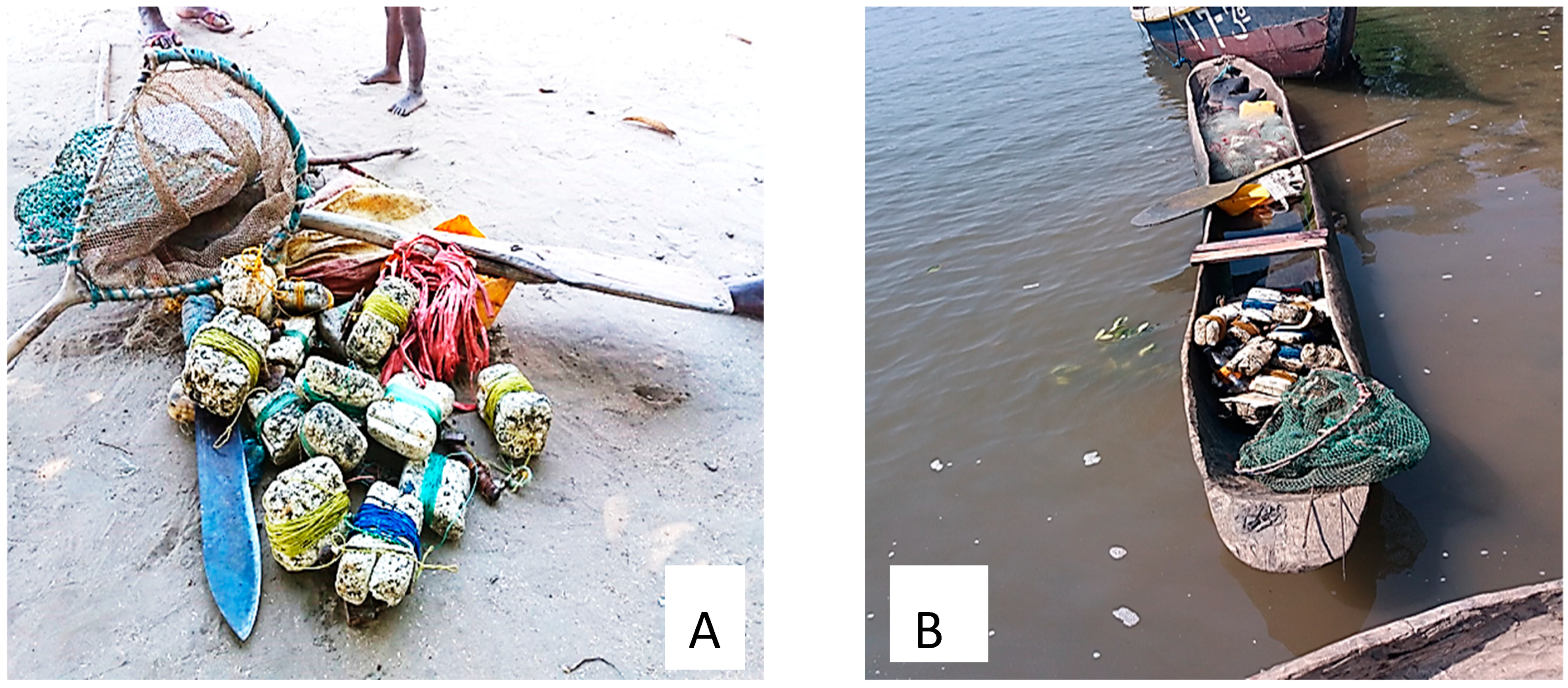 Sustainability 16 01874 g002