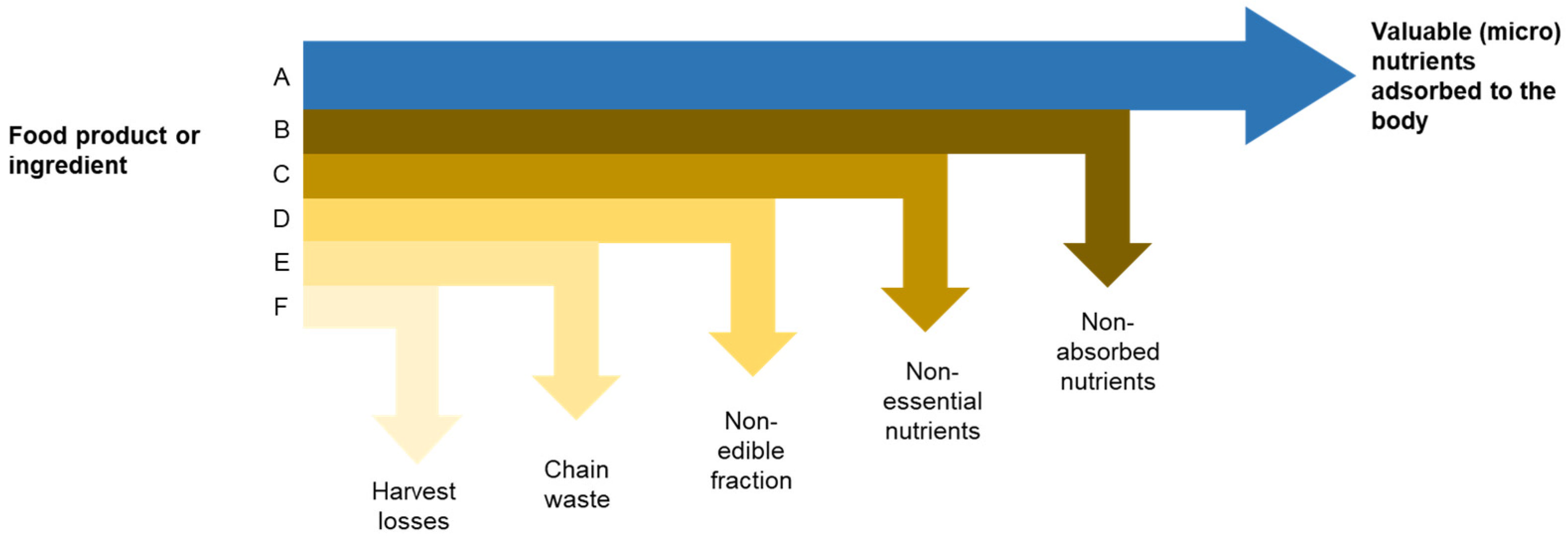 Sustainability 16 01919 g001