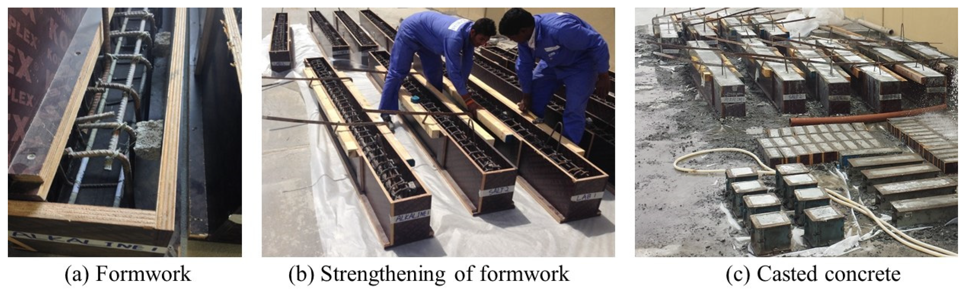 Sustainability 16 01944 g004