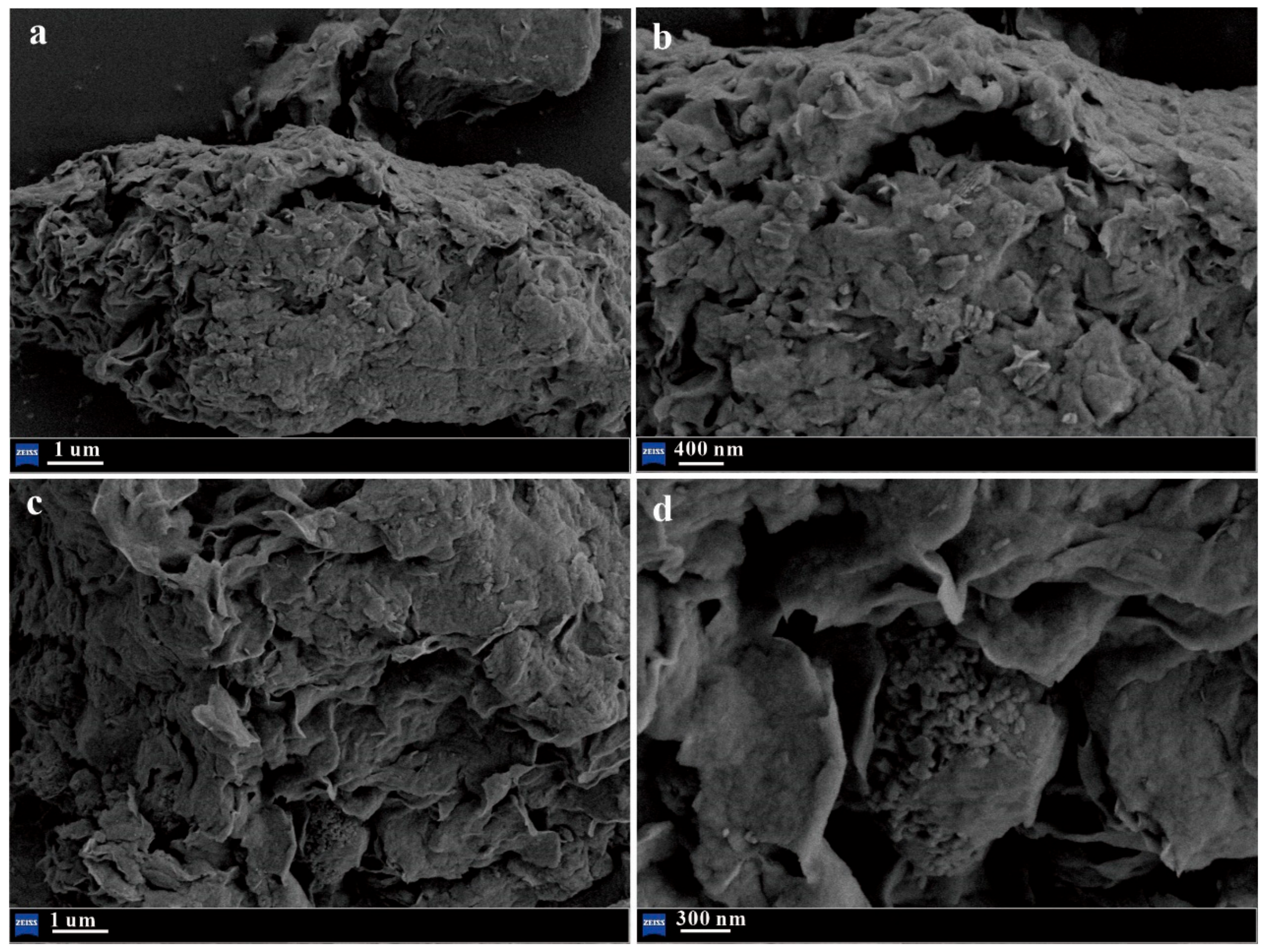 Sustainability 16 01958 g003