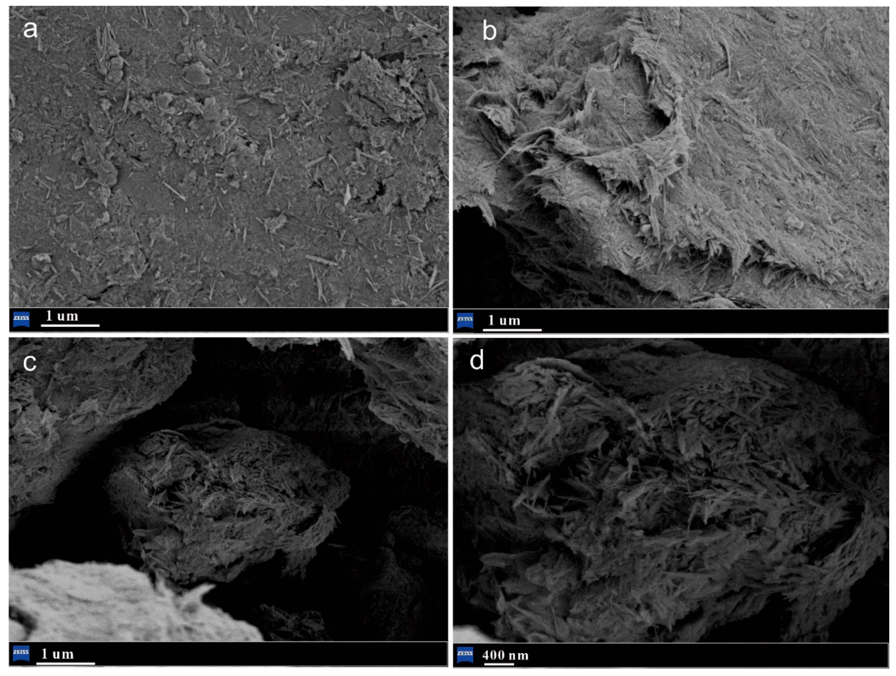 Sustainability 16 01958 g004