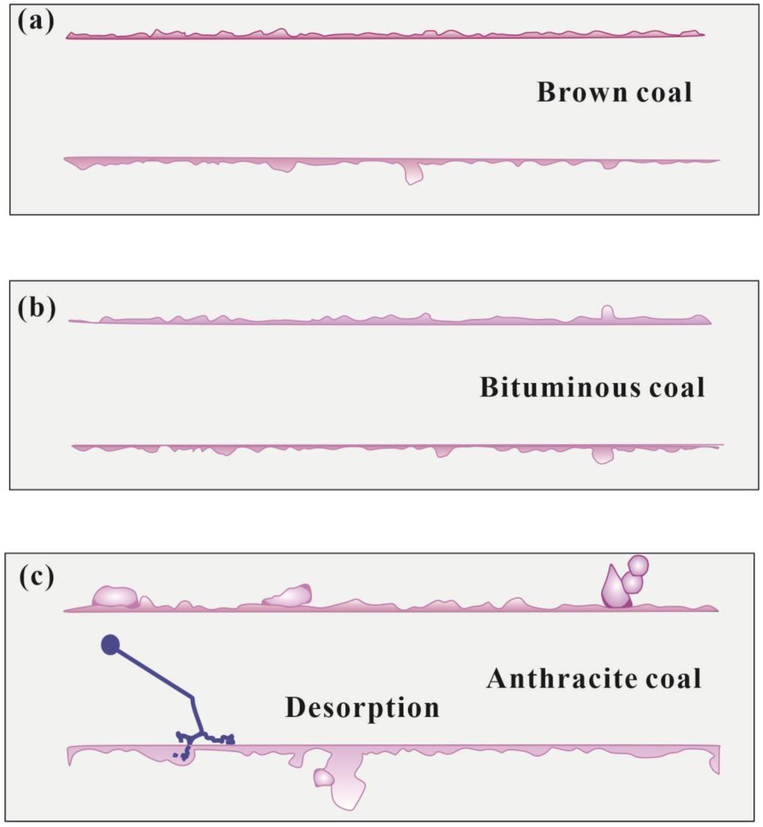 Sustainability 16 01958 g010