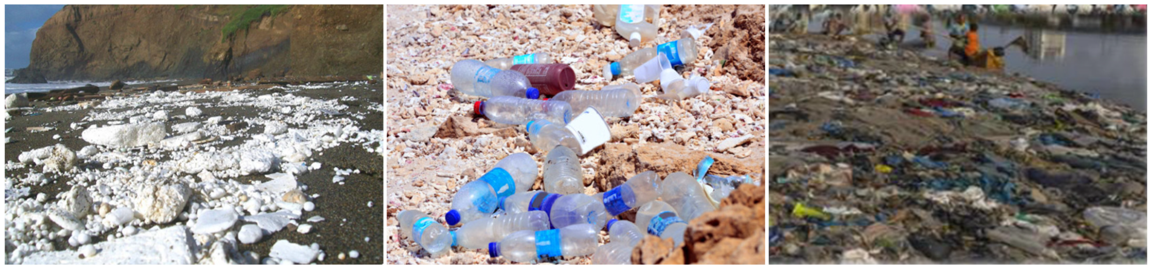 Sustainability 16 01966 g003