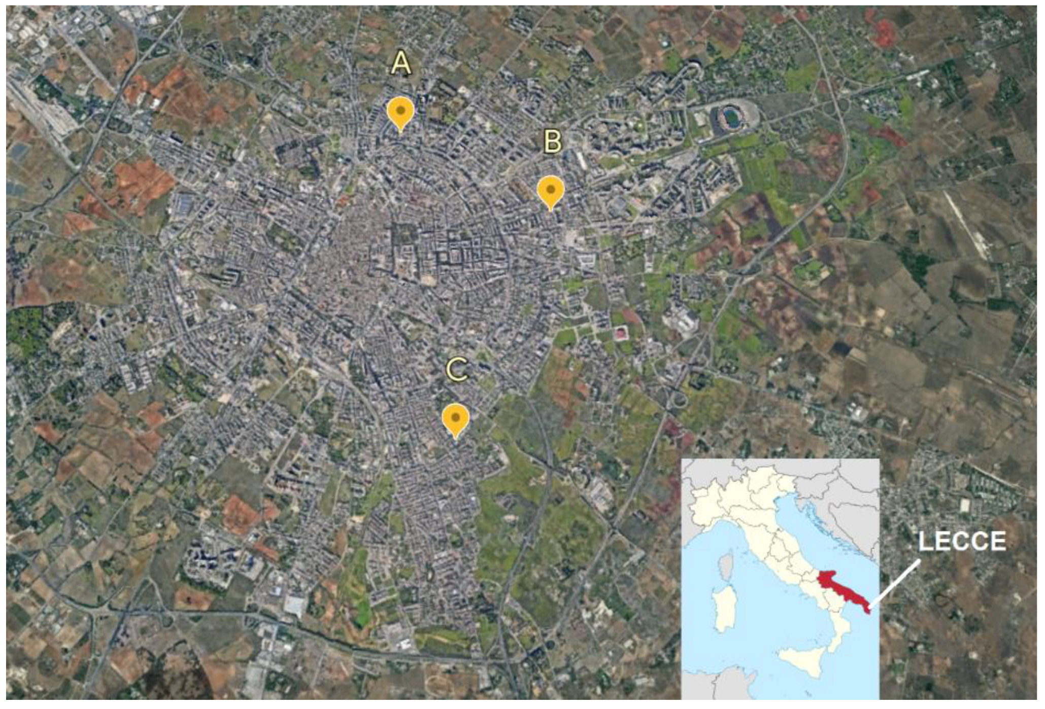 Sustainability 16 01978 g001