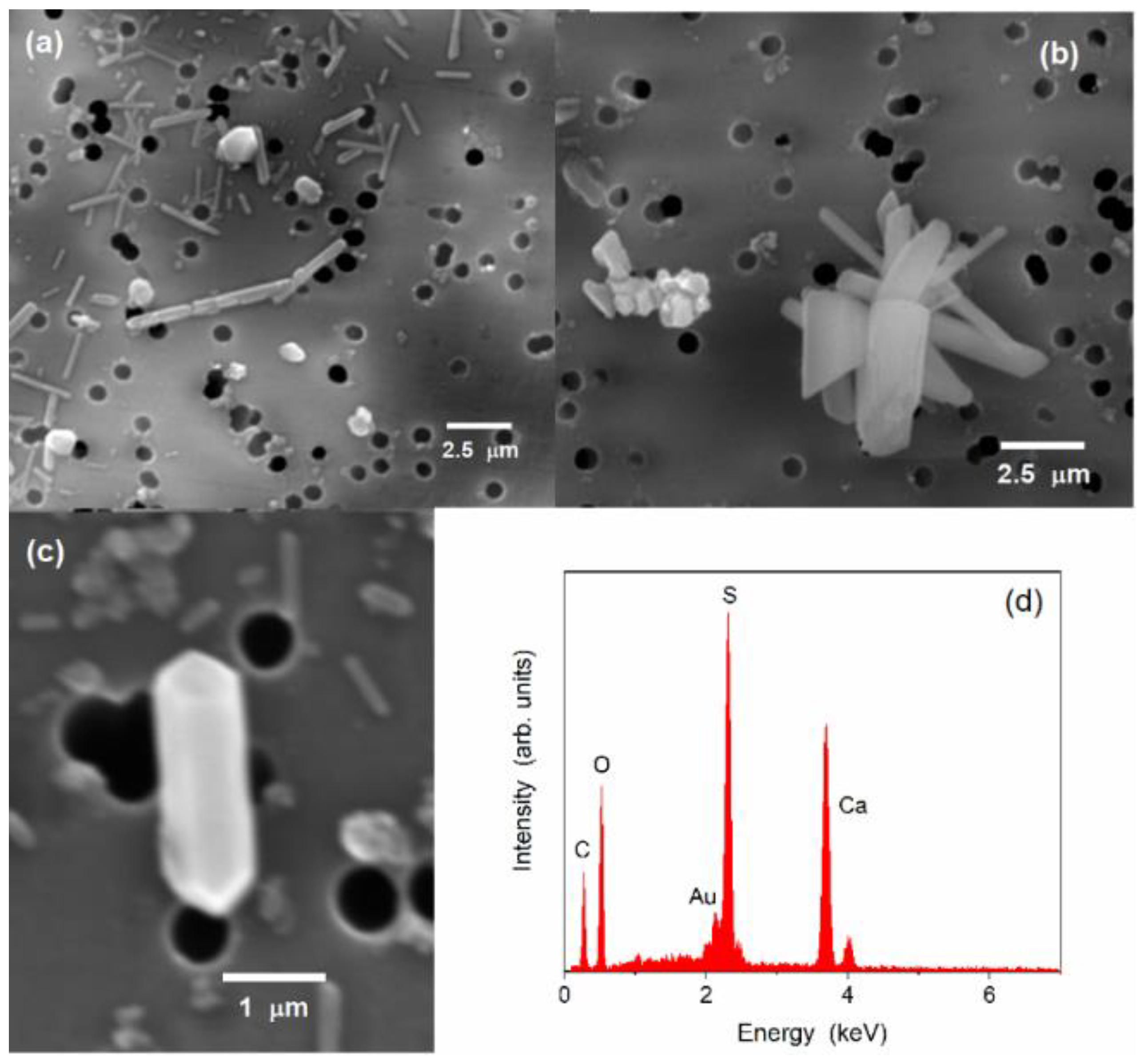 Sustainability 16 01978 g004