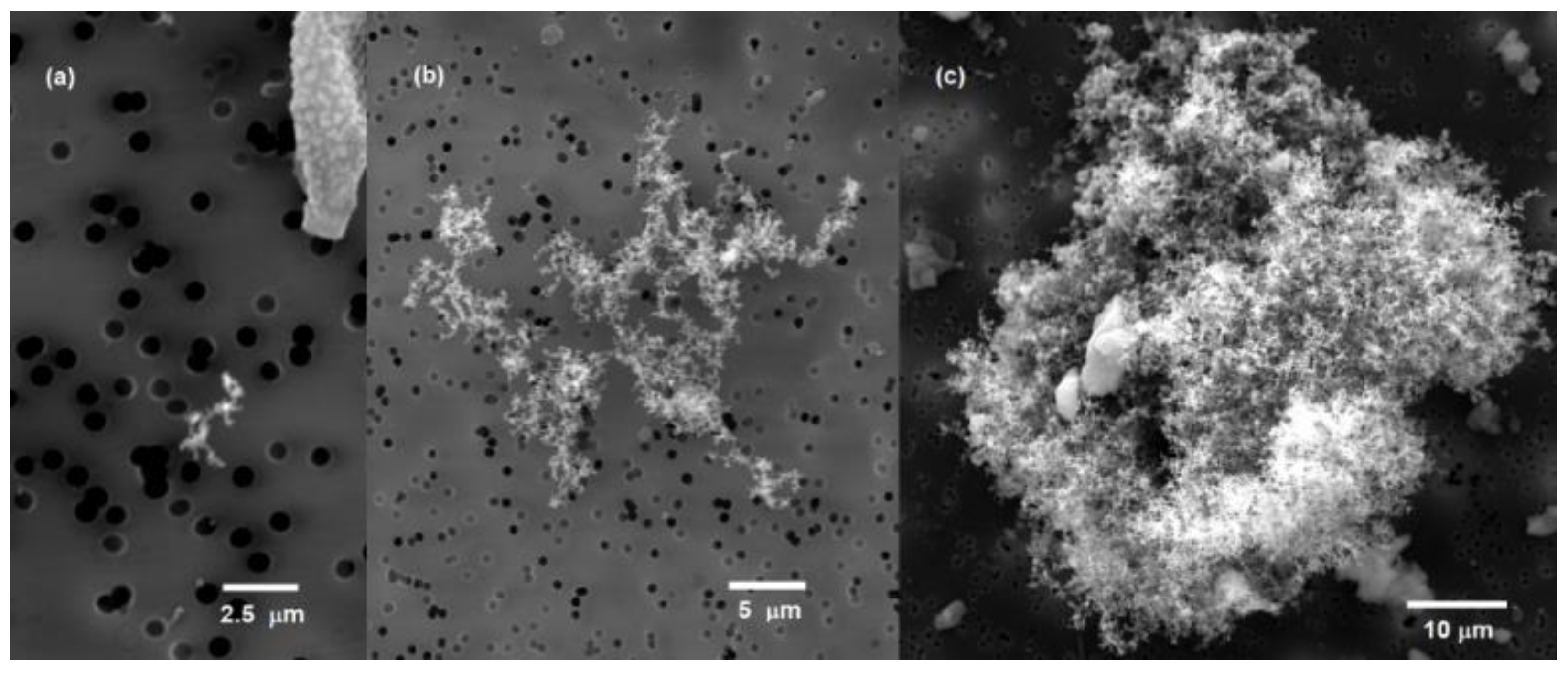 Sustainability 16 01978 g005