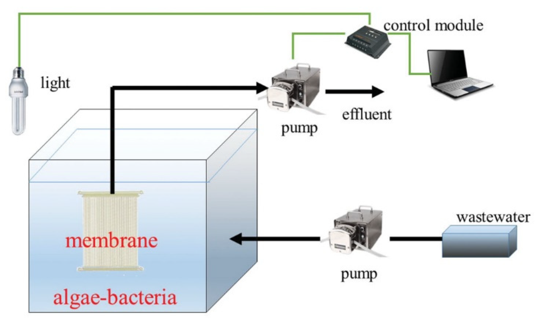 Sustainability 16 01994 g001