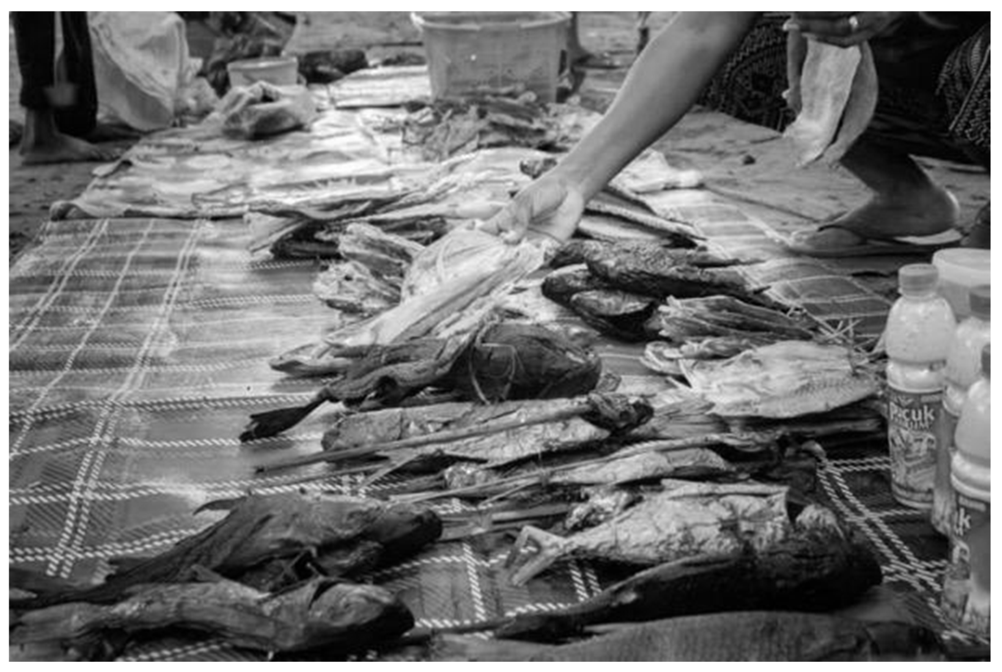 Sustainability 16 01996 g007