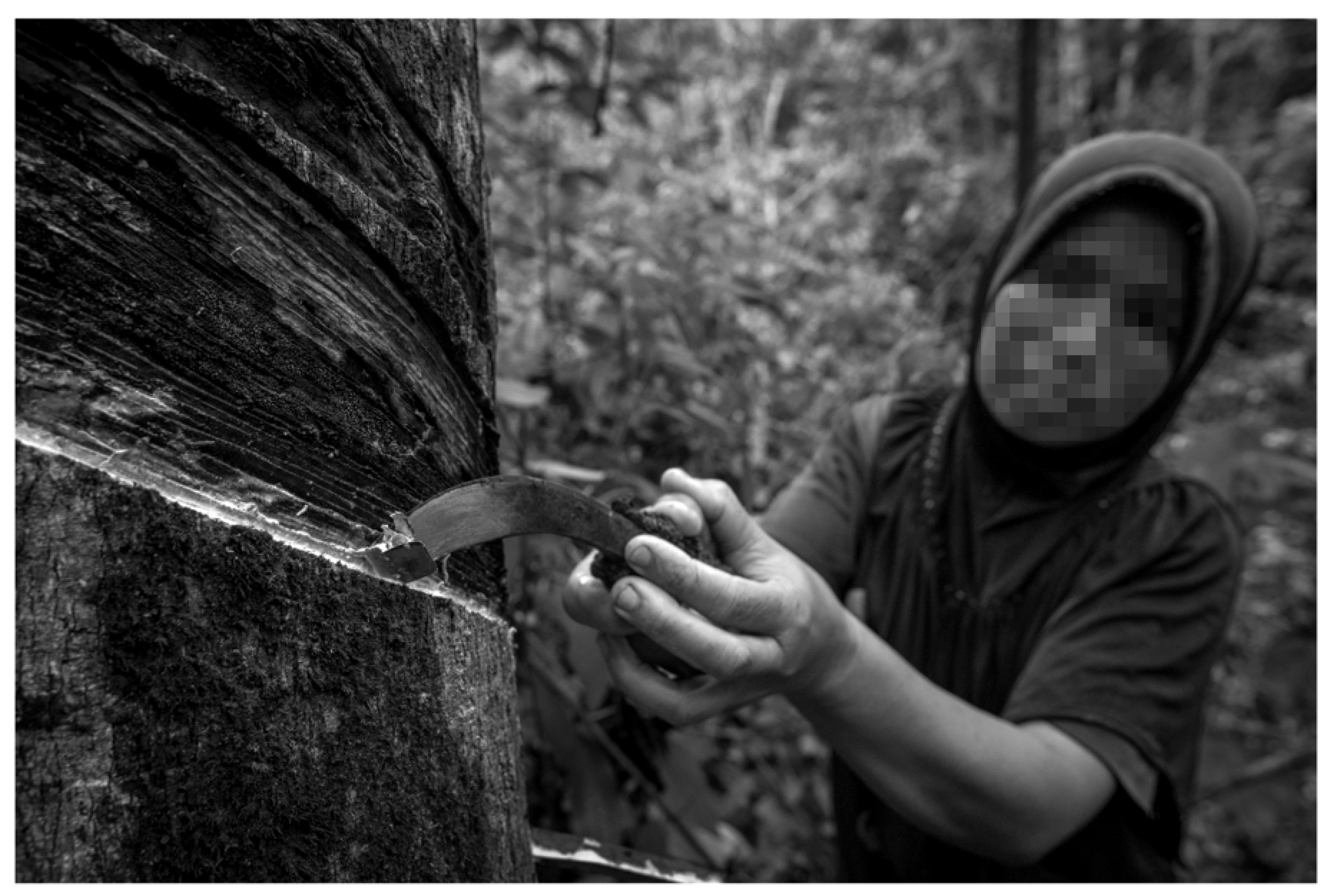 Sustainability 16 01996 g010