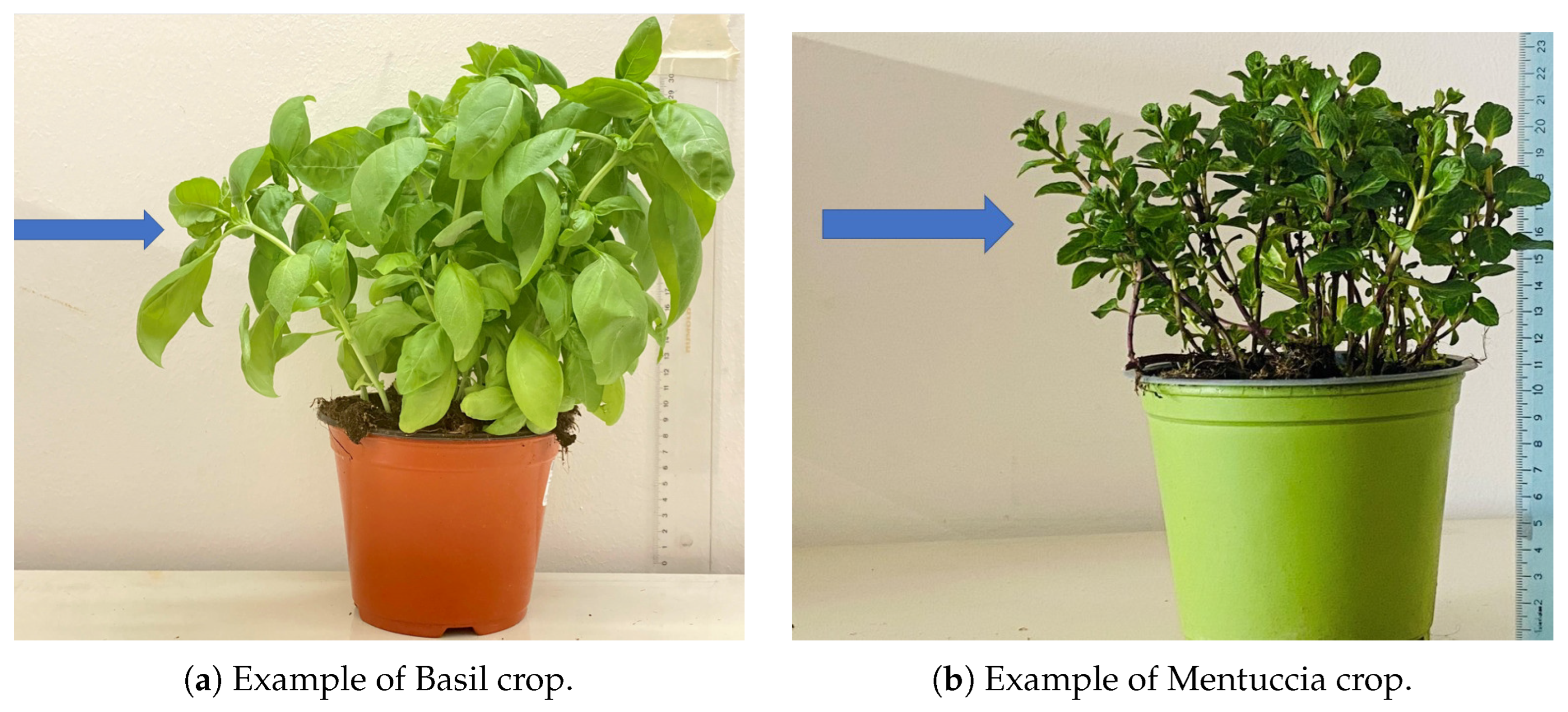 Sustainability 16 02010 g002