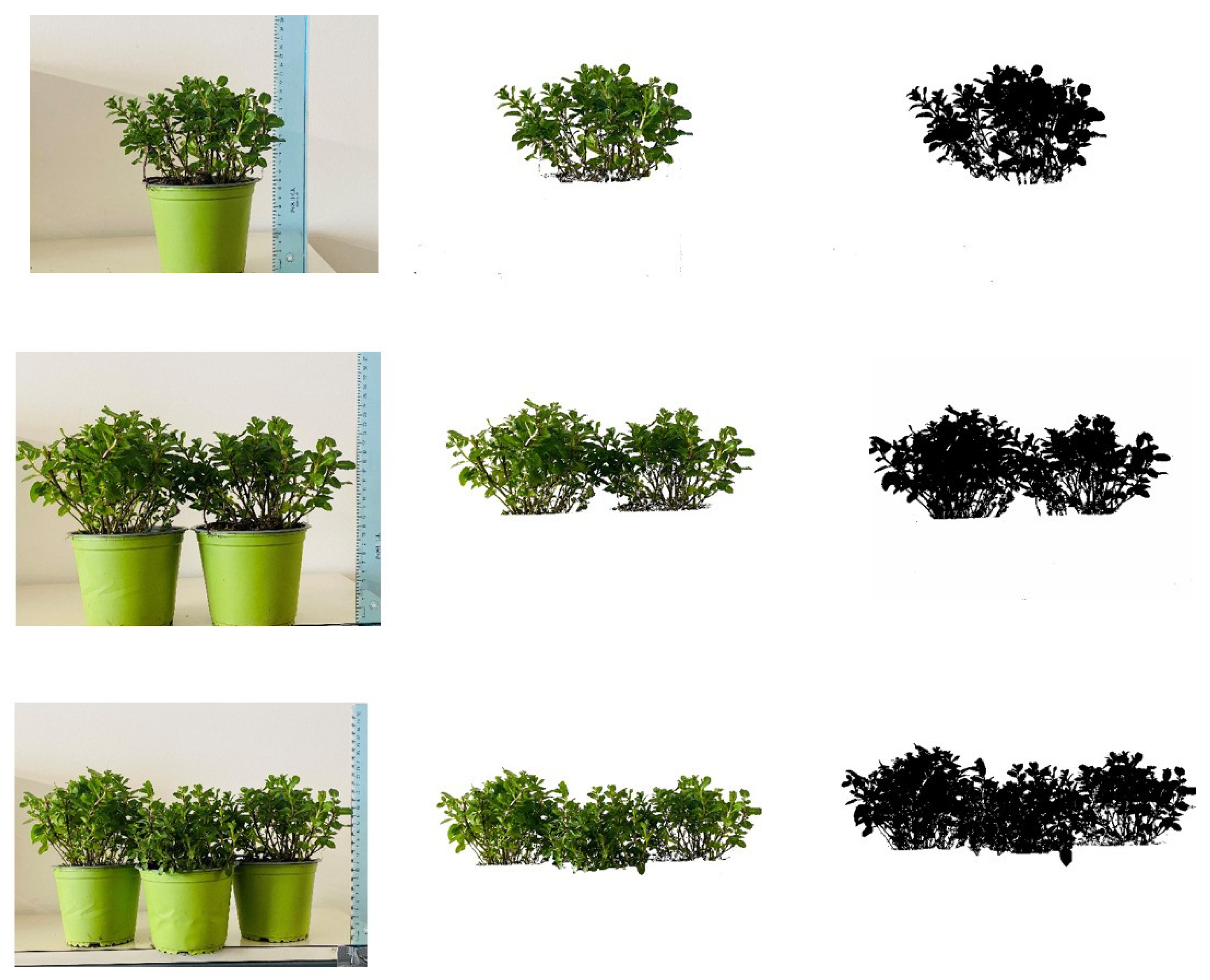 Sustainability 16 02010 g005